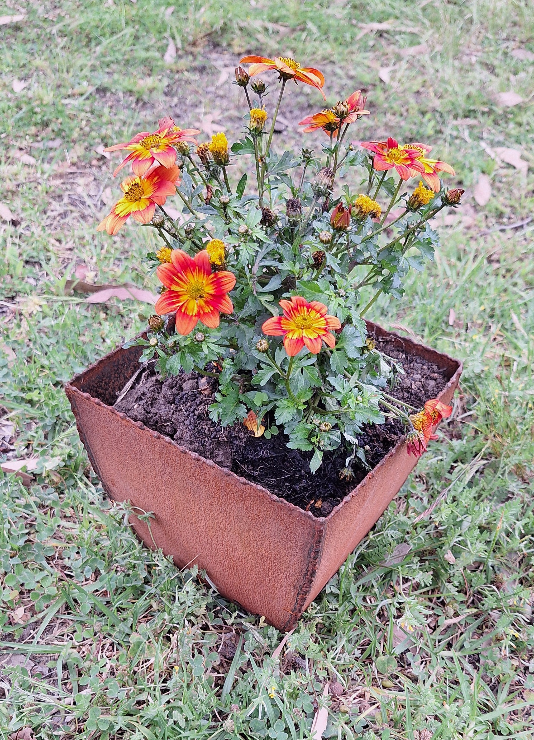 TULIPA Corten Steel Fence Post Planter
