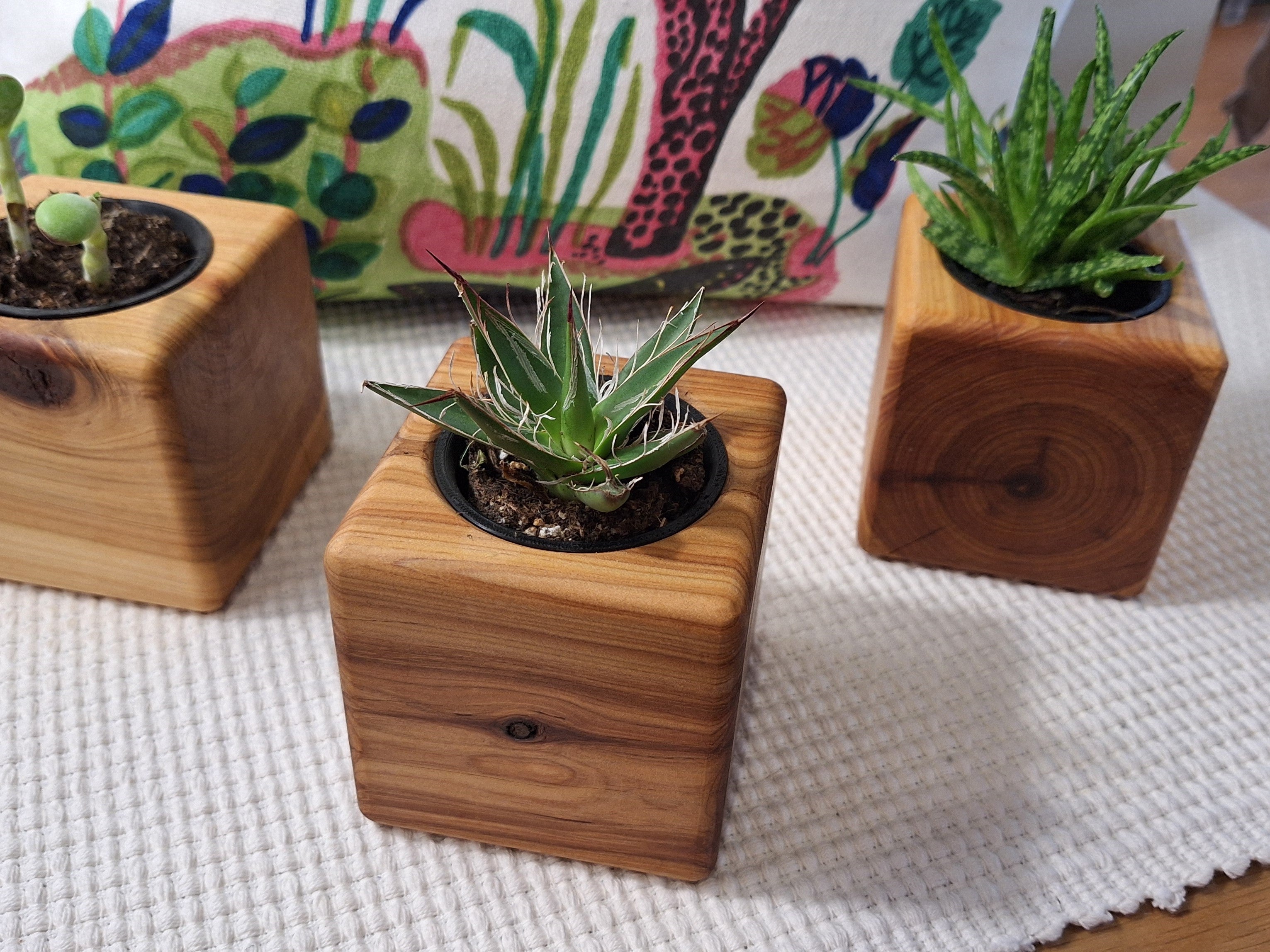 TULIPA Indoor Wooden Succulent Planter