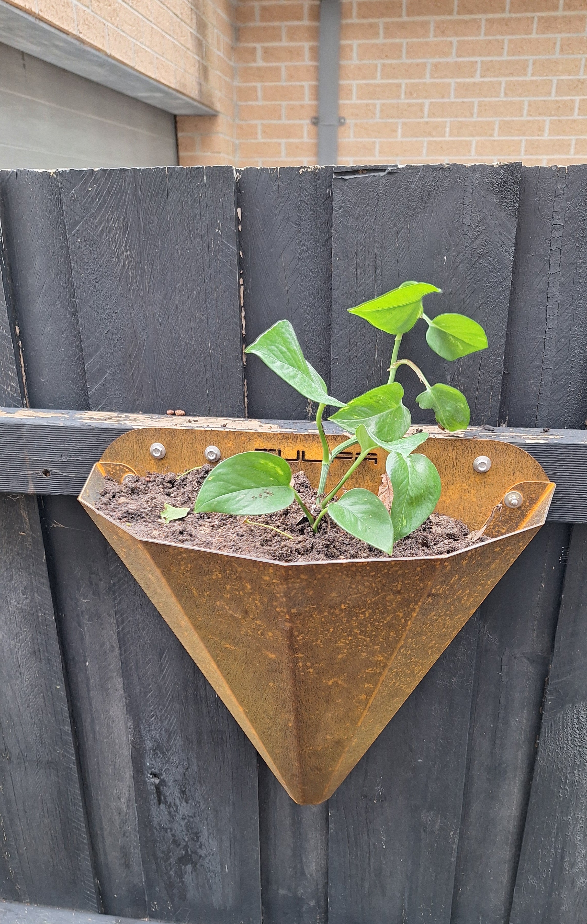 TULIPA Conical Wall Planter Cortensteel