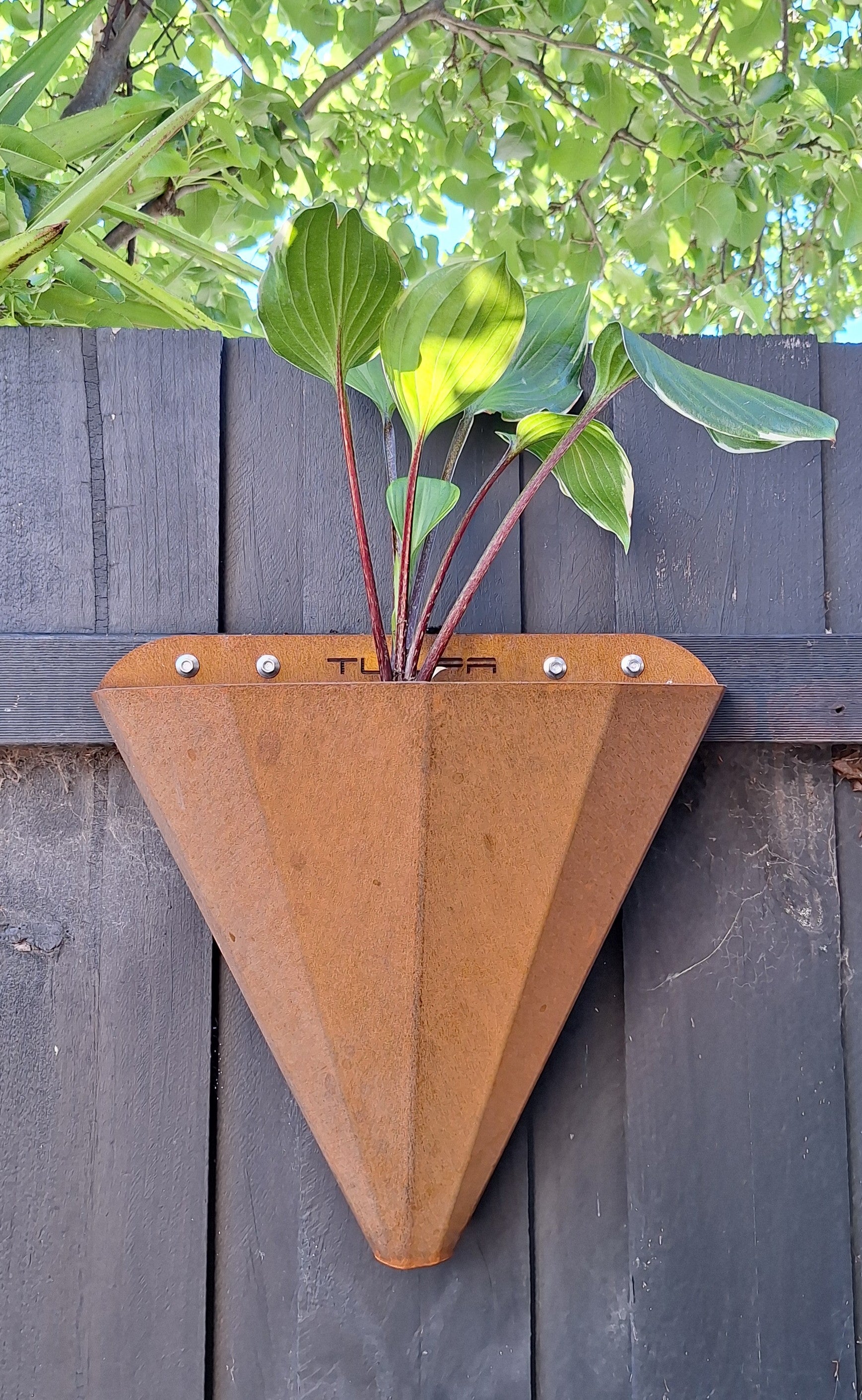TULIPA Conical Wall Planter Cortensteel