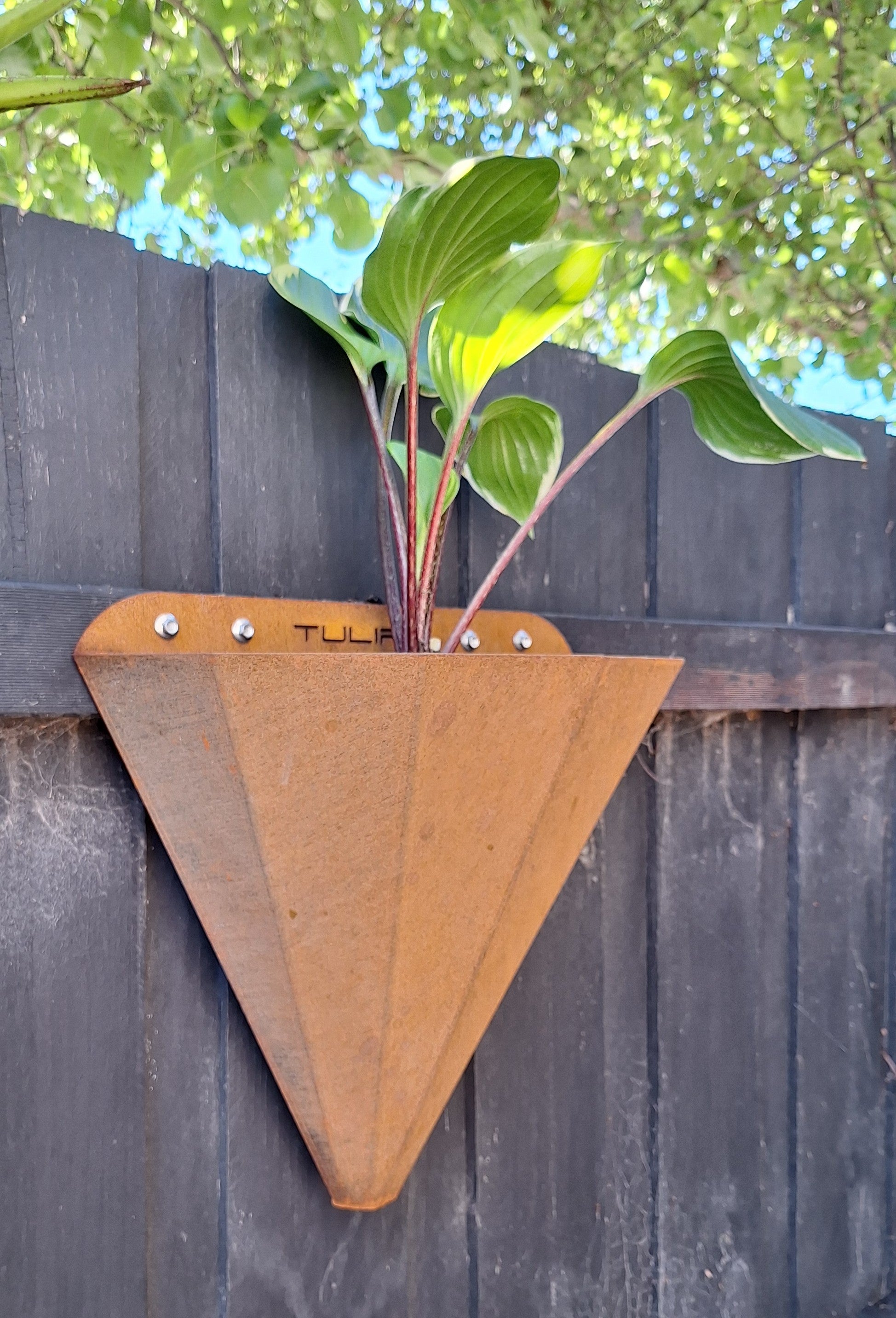 TULIPA Conical Wall Planter Cortensteel